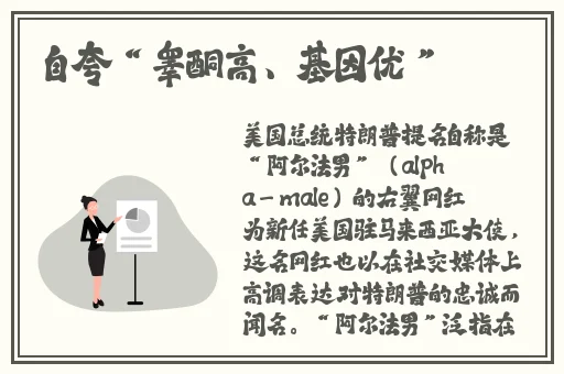 日本午夜成年在线网站